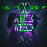 Akte Weed BabaJay Steini96